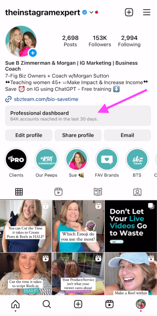 Location of your Professional Dashboard on your Instagram account pointed out.