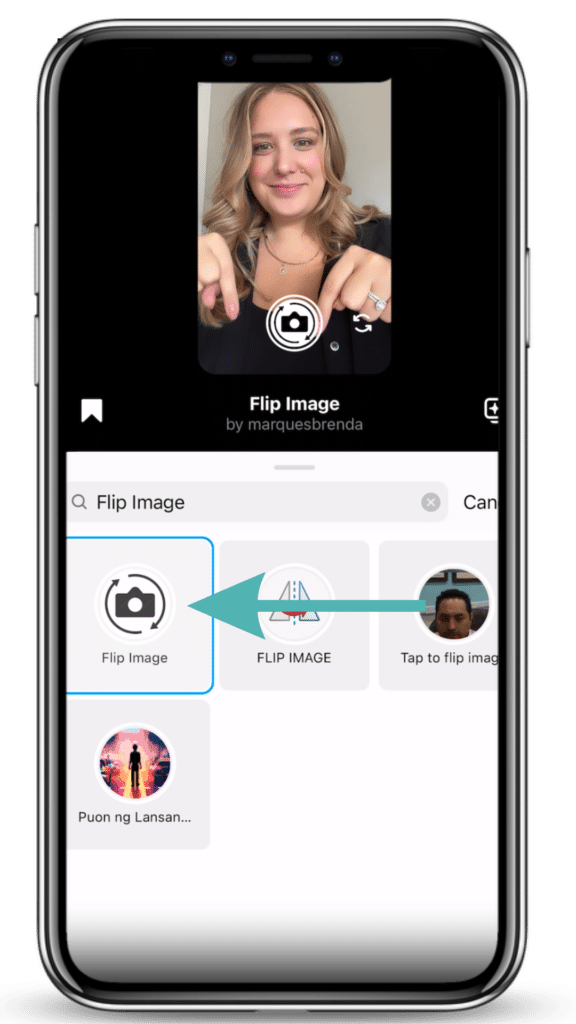 effect search shown with arrow pointing to flip screen filter